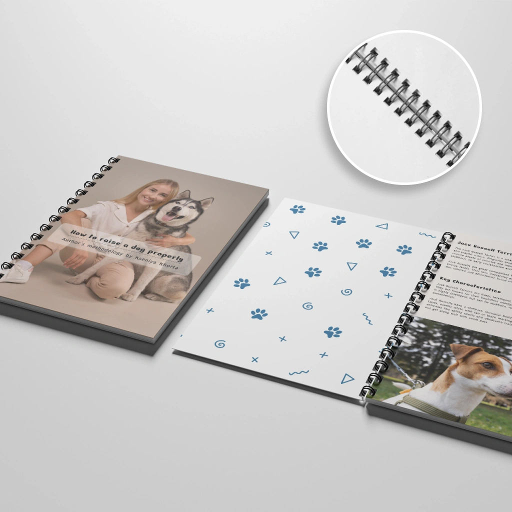 Брошура на пружині